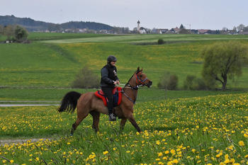 Magdan Radja (AR)