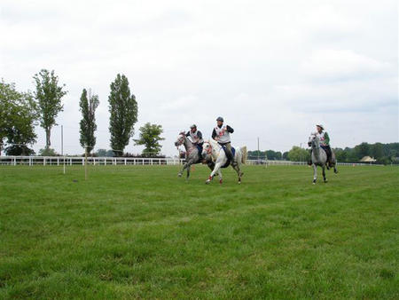 l'étalon Hakim Alkan P sur la 130 km de Rambouillet - 6 juin 2009