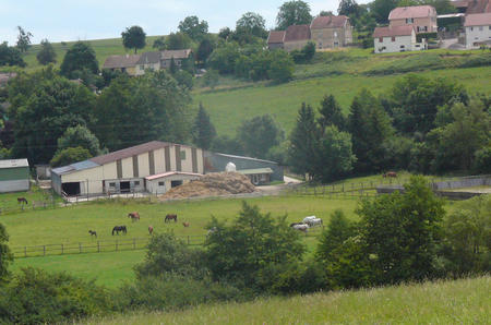 Philosophie de l'élevage à la Ferme du Cavallon