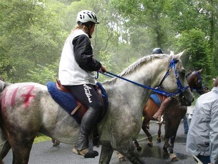 Rambouillet 130 km CEI** auf Hakim Alkan P