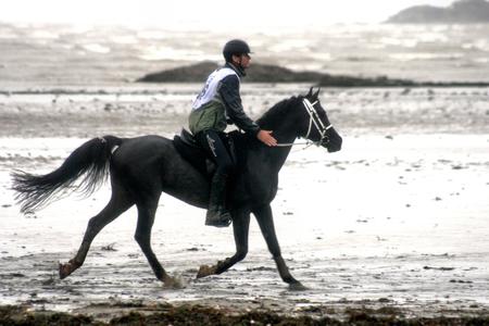 Dernière course de l'année  2010