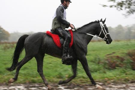 Dernière course de l'année  2010