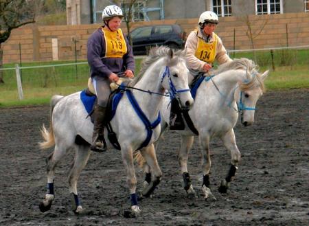 Première grande sortie de nos Shagyas en endurance 2010