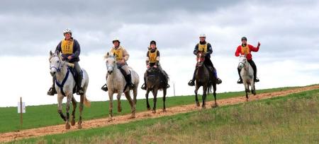 Première grande sortie de nos Shagyas en endurance 2010