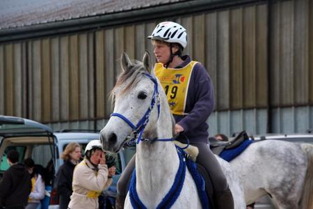 Première grande sortie de nos Shagyas en endurance 2010