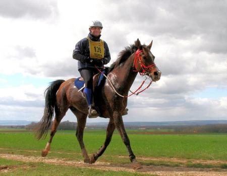 Première grande sortie de nos Shagyas en endurance 2010