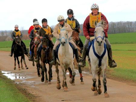 Première grande sortie de nos Shagyas en endurance 2010