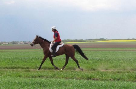 CEI *** 160 km à Babolna pour Tilara