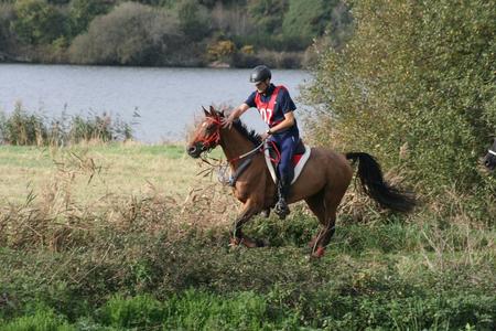 CEI*** 2x100 km Pontchateau