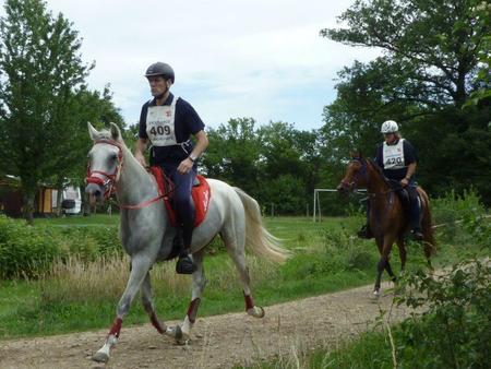 Villers le Sec épreuve jeune chevaux