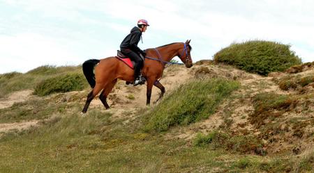 Entrainement sur les plages de Normandie pour Tilara et Farah