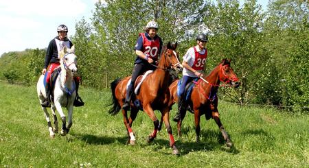 60 km à St. Crépin aux Bois