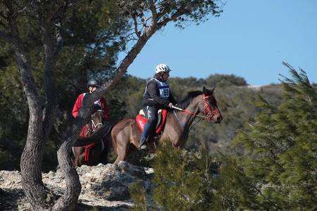 Première Course de l'année 2012-TARASCON