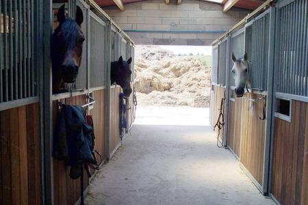 Structures d’accueil des chevaux en pension à la Ferme du Cavallon